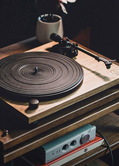Audio Technica AT LPW40WN Walnut Pikap